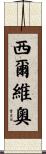 Sylvio Scroll