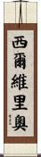 Silverio Scroll