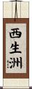 西生洲 Scroll