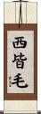 西皆毛 Scroll