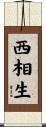 西相生 Scroll