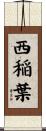 西稲葉 Scroll
