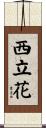 西立花 Scroll