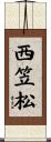 西笠松 Scroll
