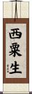 西粟生 Scroll