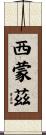 Simmonds Scroll