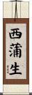 西蒲生 Scroll