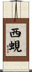西蜆 Scroll