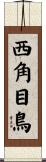 西角目鳥 Scroll