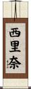 西里奈 Scroll