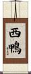 西鴨 Scroll