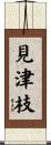見津枝 Scroll