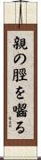 親の脛を囓る Scroll