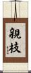 親枝 Scroll