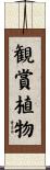 観賞植物 Scroll