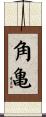 角亀 Scroll