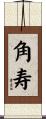 角寿 Scroll