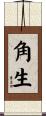 角生 Scroll