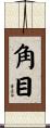 角目 Scroll