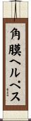 角膜ヘルペス Scroll