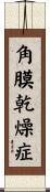 角膜乾燥症 Scroll