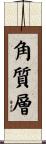 角質層 Scroll