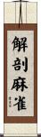 解剖麻雀 Scroll