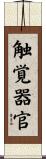 触覚器官 Scroll