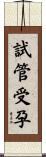 試管受孕 Scroll