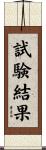 試験結果 Scroll