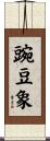 豌豆象 Scroll
