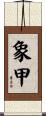 象甲 Scroll