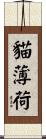 貓薄荷 Scroll