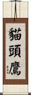 貓頭鷹 Scroll