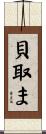 貝取ま Scroll