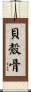 貝殻骨 Scroll