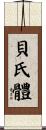 貝氏體 Scroll