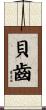 貝齒 Scroll