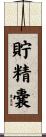 貯精嚢 Scroll