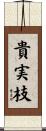 貴実枝 Scroll