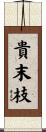 貴末枝 Scroll