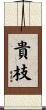 貴枝 Scroll