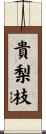 貴梨枝 Scroll