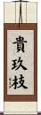 貴玖枝 Scroll