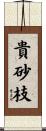 貴砂枝 Scroll