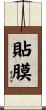 貼膜 Scroll