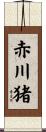 赤川猪 Scroll