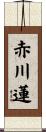 赤川蓮 Scroll