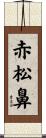赤松鼻 Scroll