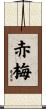 赤梅 Scroll